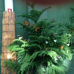IMG_2252