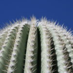 IMG_2476L