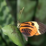 IMG_2538L