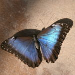 IMG_2606L
