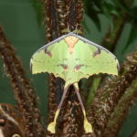 IMG_2651L