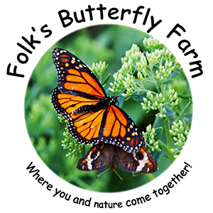 Folk's Butterfly Farm